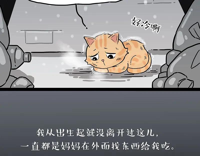 48.jpg