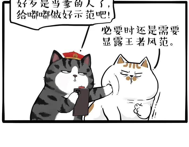 45.jpg
