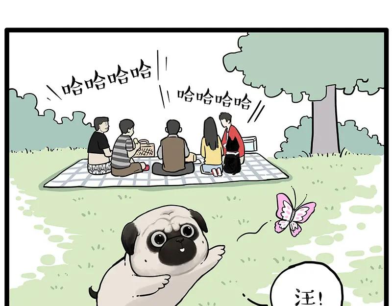 57.jpg