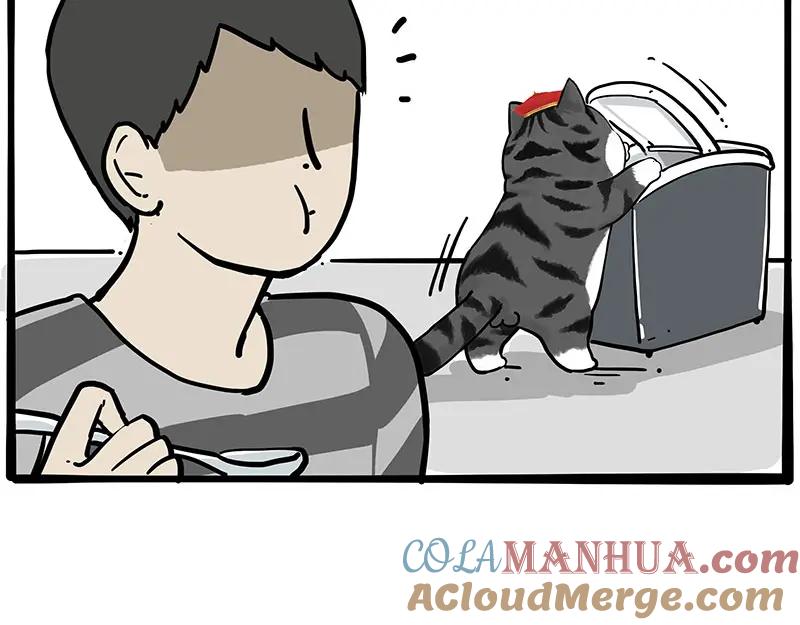 61.jpg