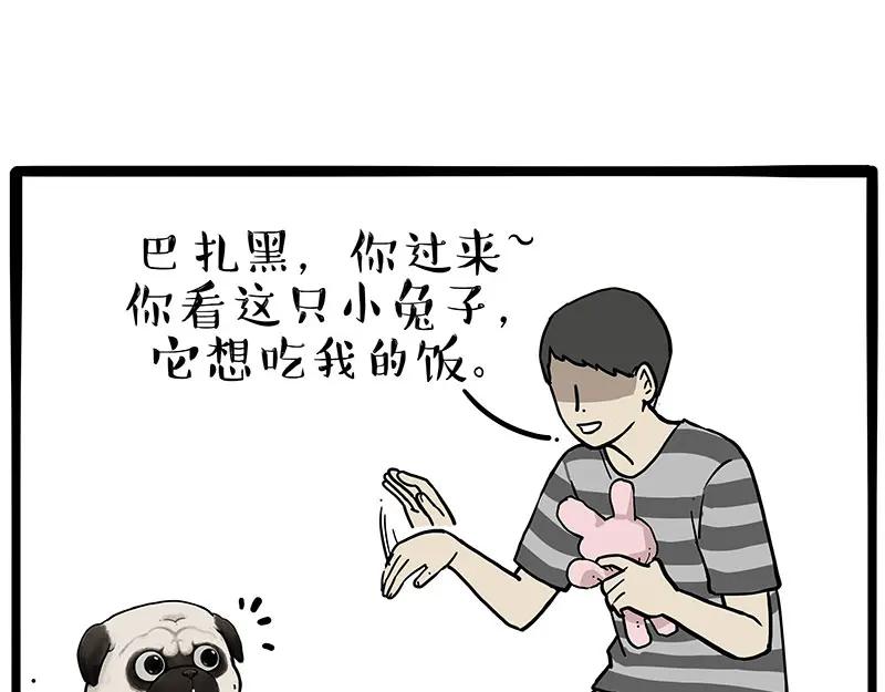 54.jpg