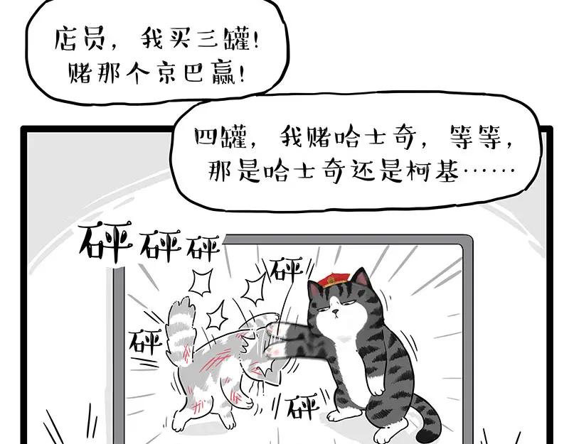 35.jpg