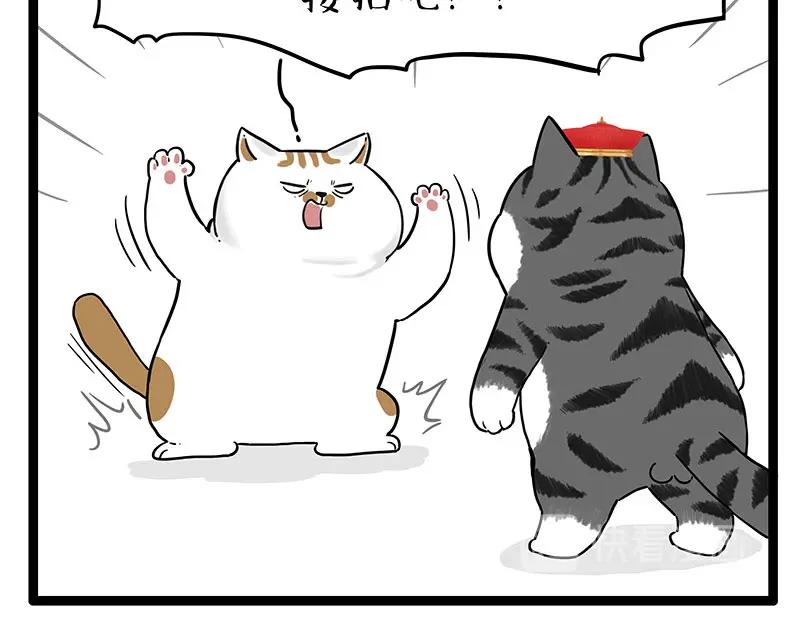 50.jpg
