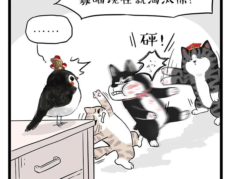 48.jpg