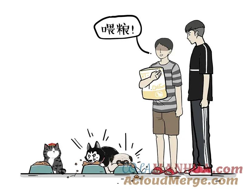 52.jpg