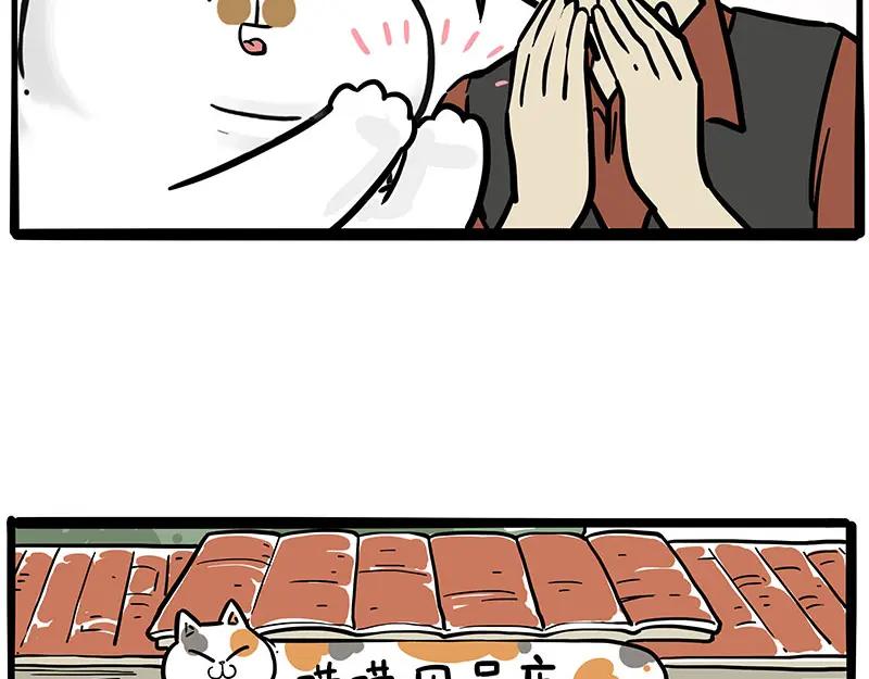 17.jpg
