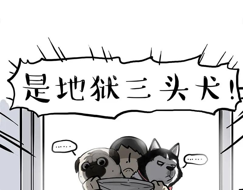 54.jpg