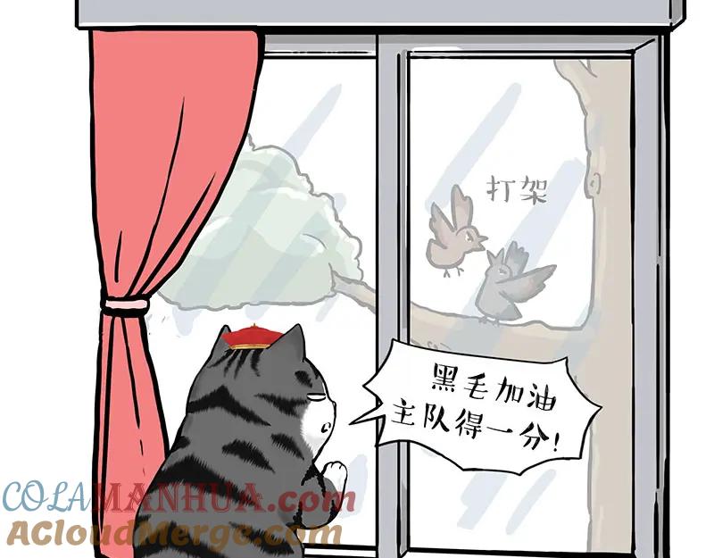 18.jpg