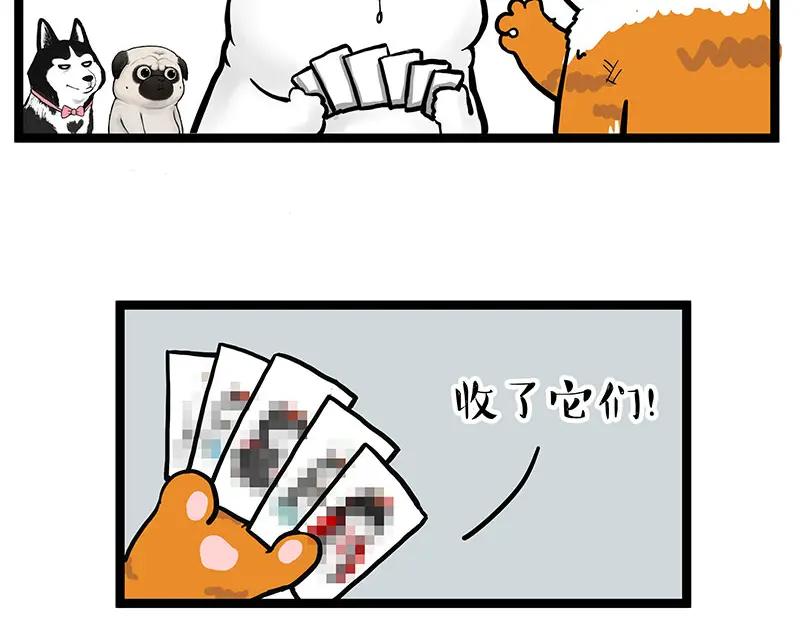 62.jpg