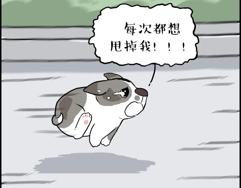 63.jpg