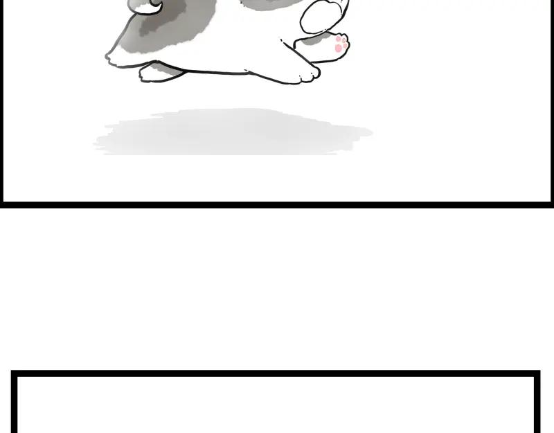 65.jpg