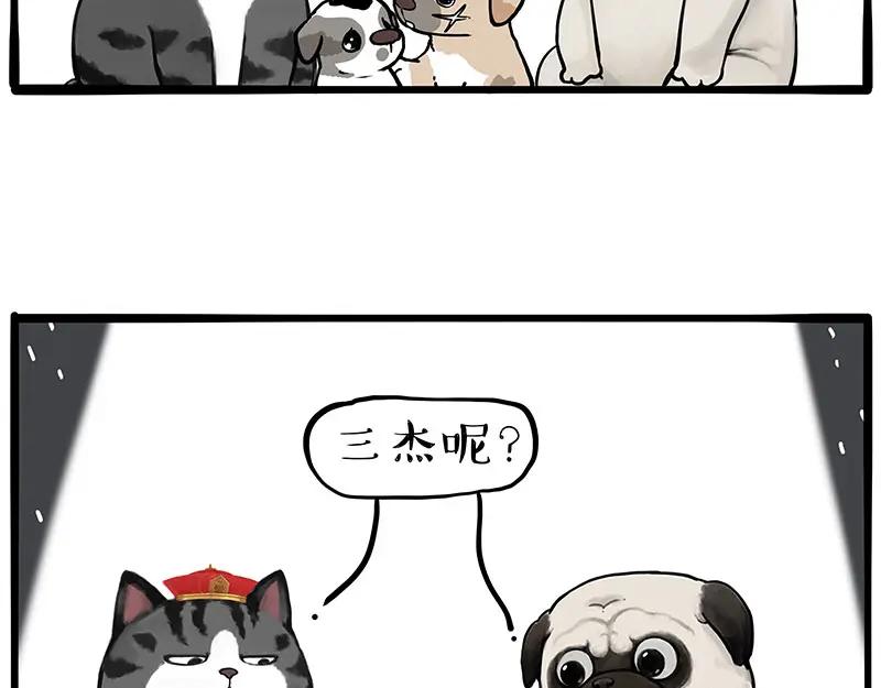 18.jpg