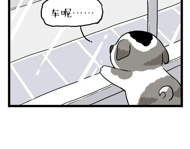 56.jpg