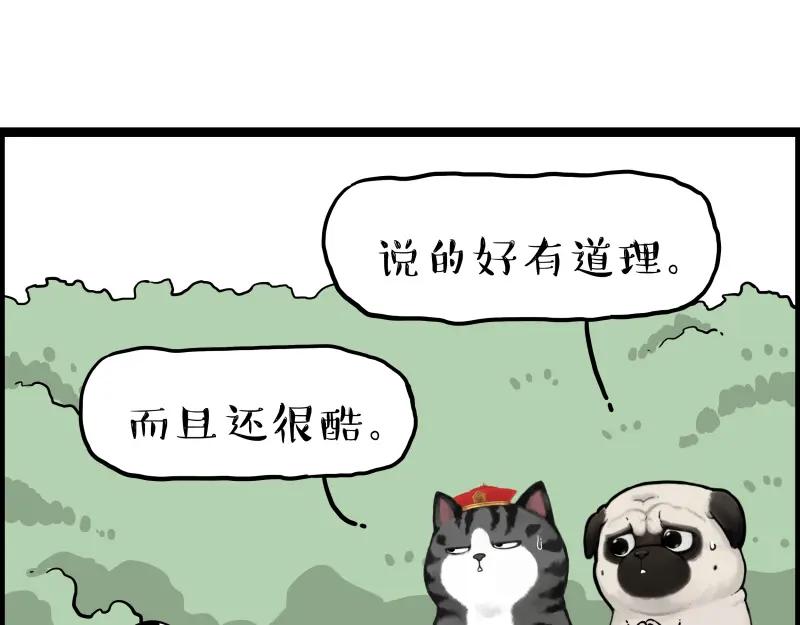 83.jpg
