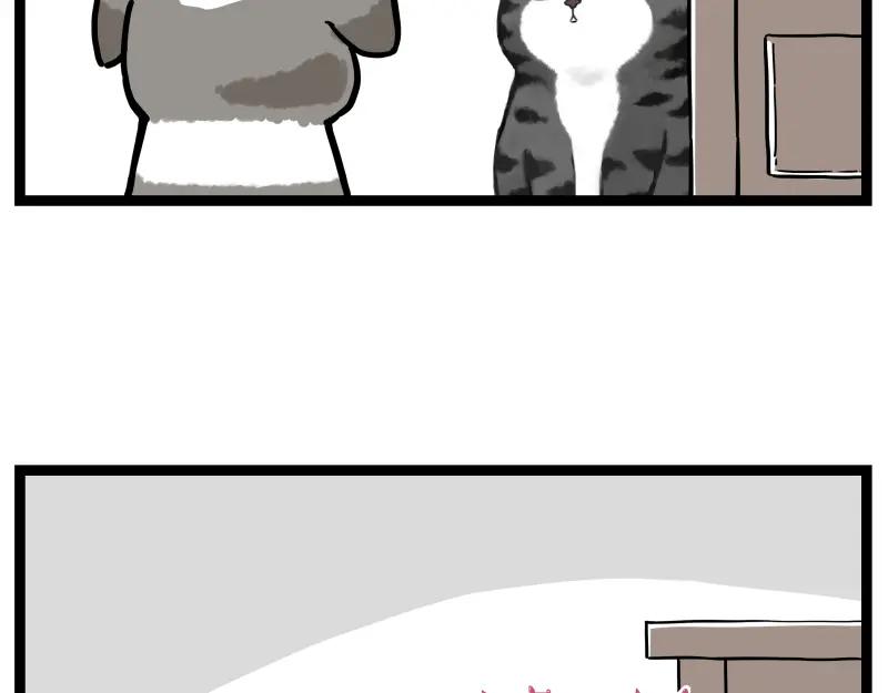 47.jpg