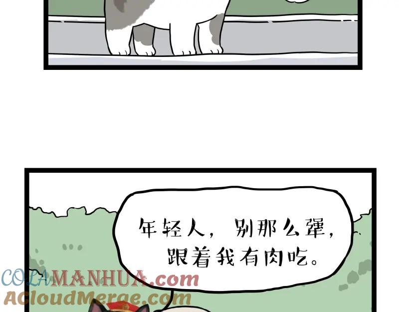 73.jpg