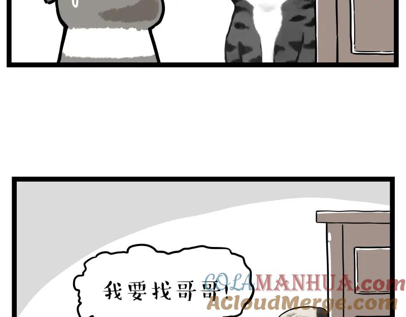 52.jpg