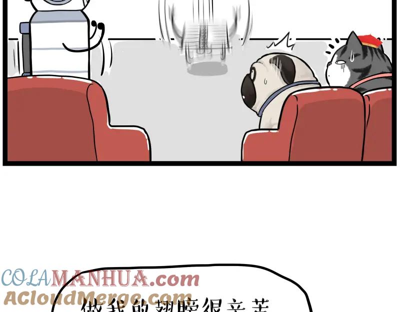 49.jpg