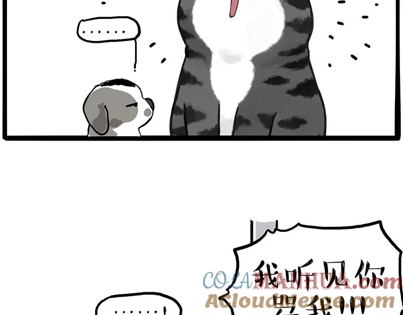58.jpg