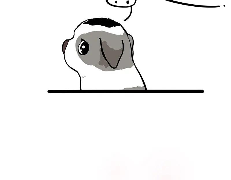 65.jpg