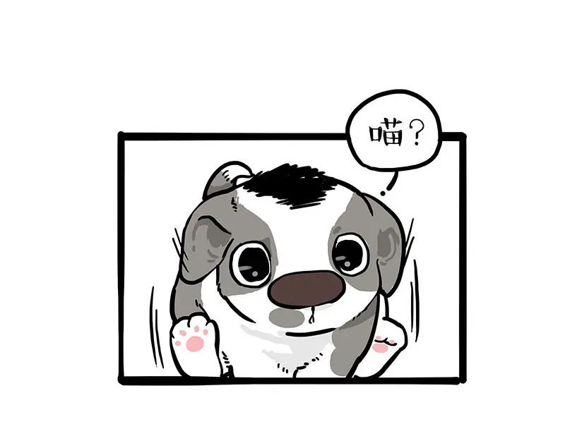 63.jpg