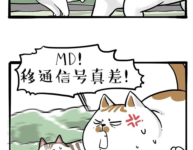 44.jpg