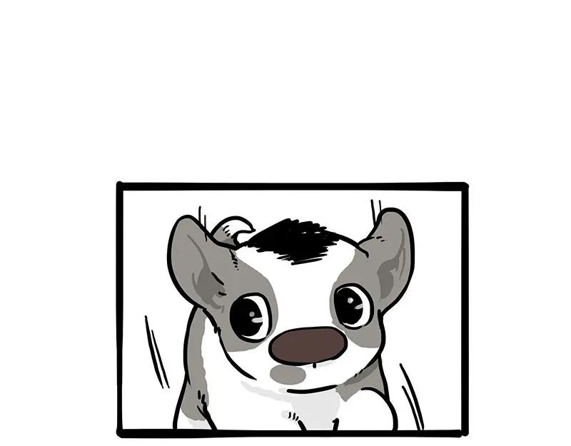 62.jpg