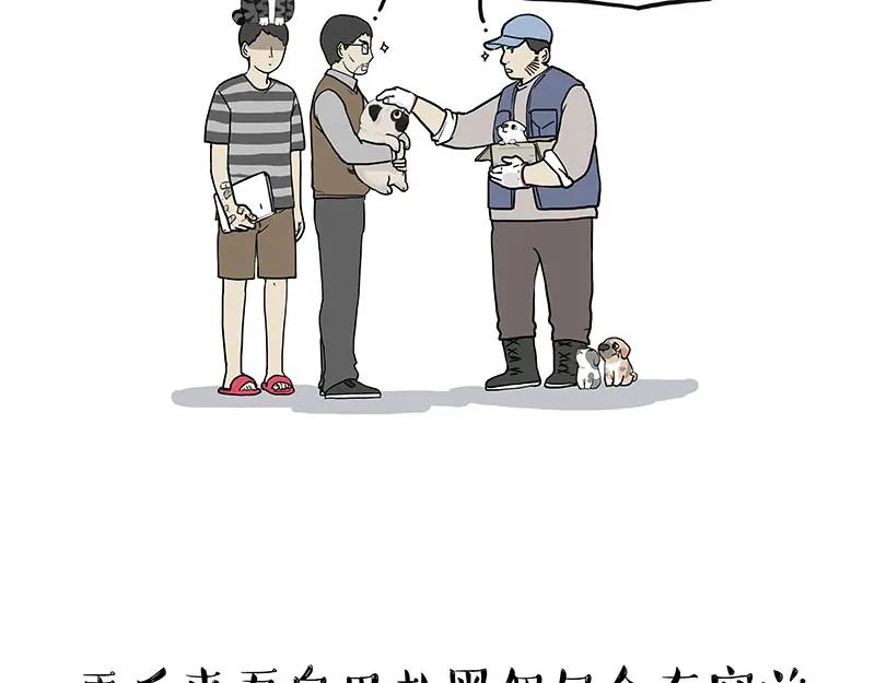 77.jpg