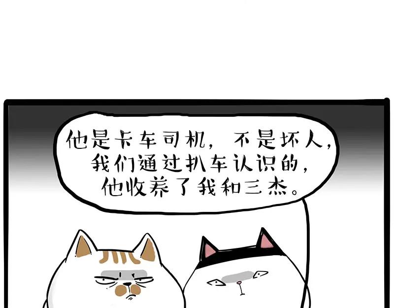 64.jpg