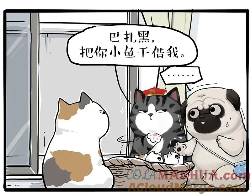 5.jpg