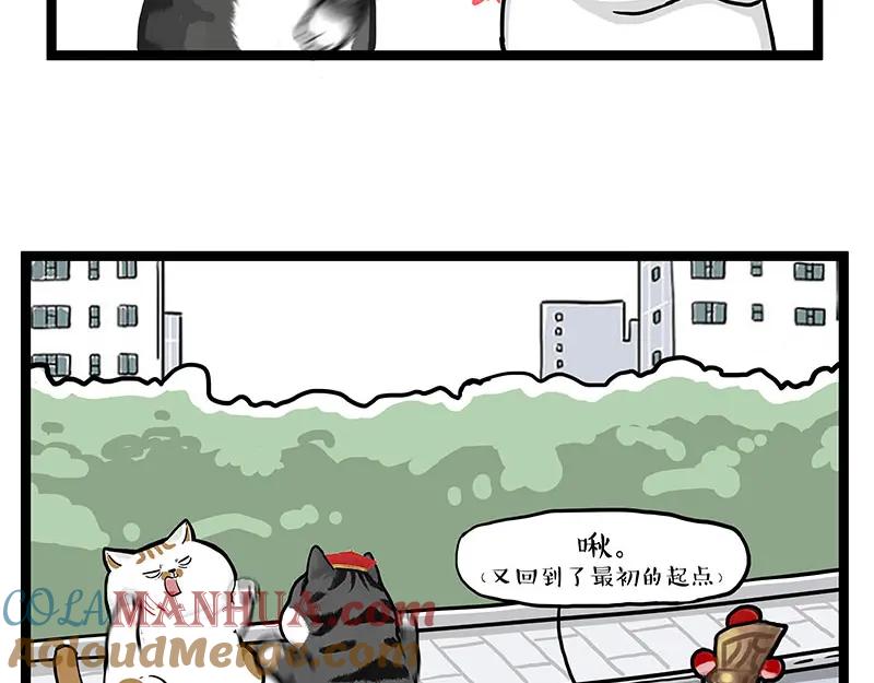 35.jpg
