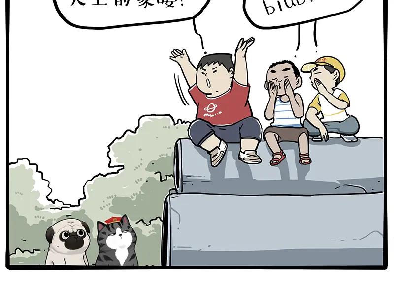 11.jpg