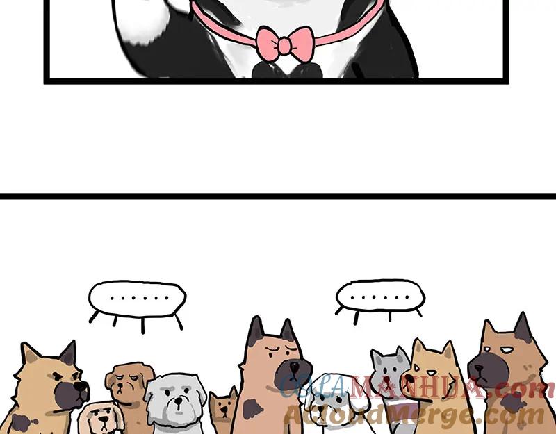 58.jpg