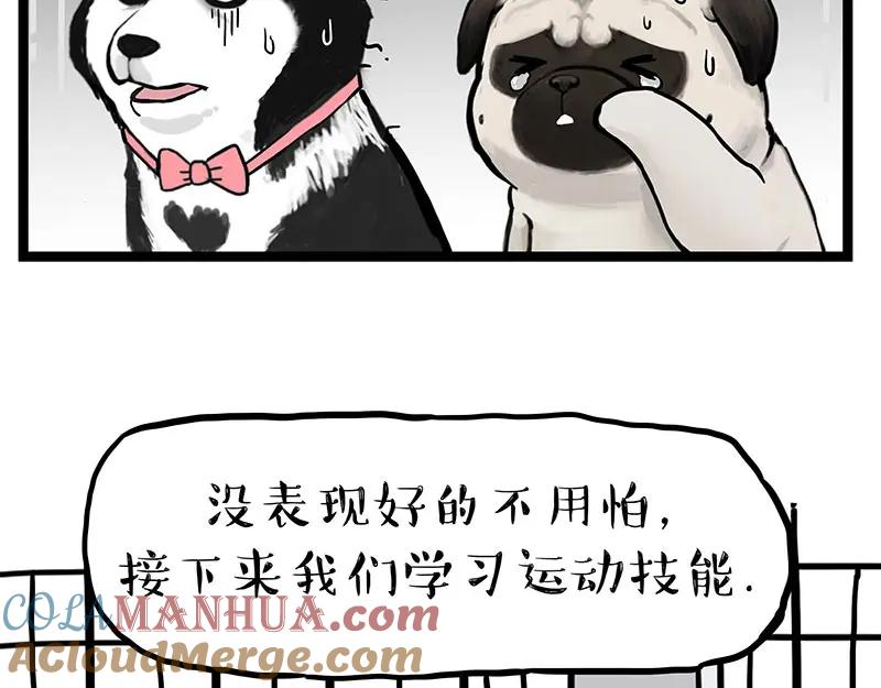 40.jpg