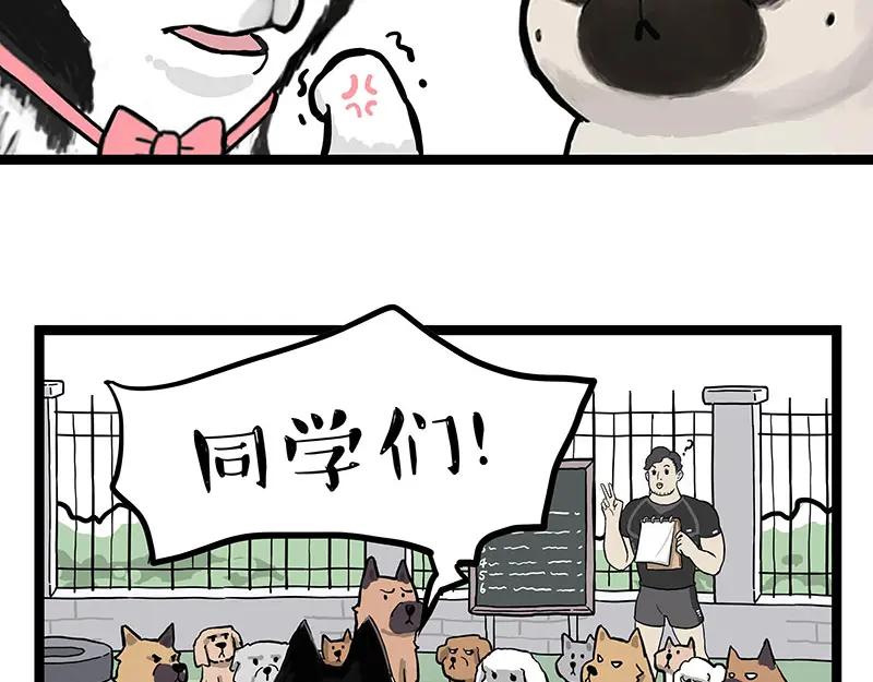 54.jpg