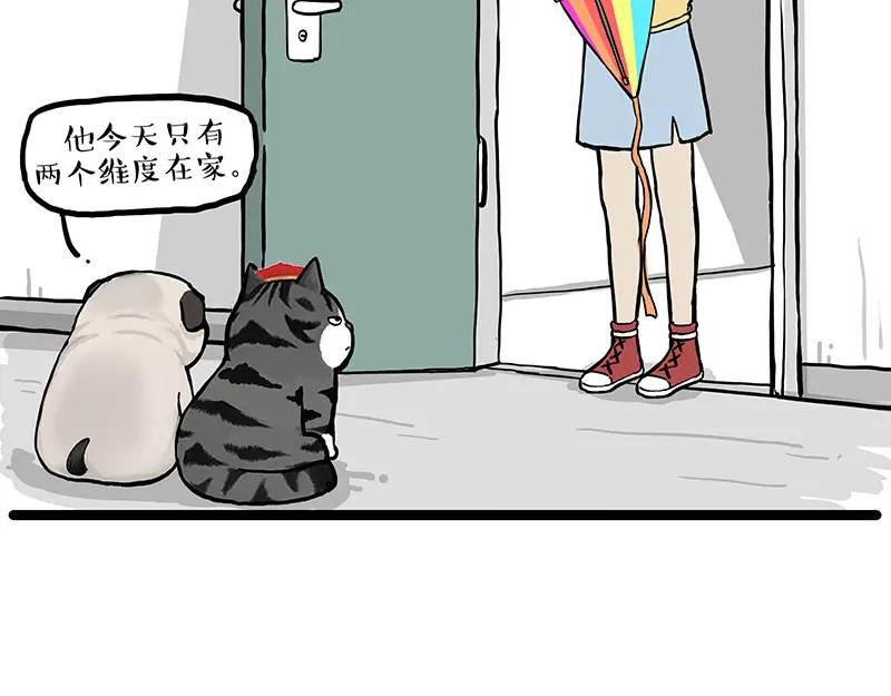 56.jpg