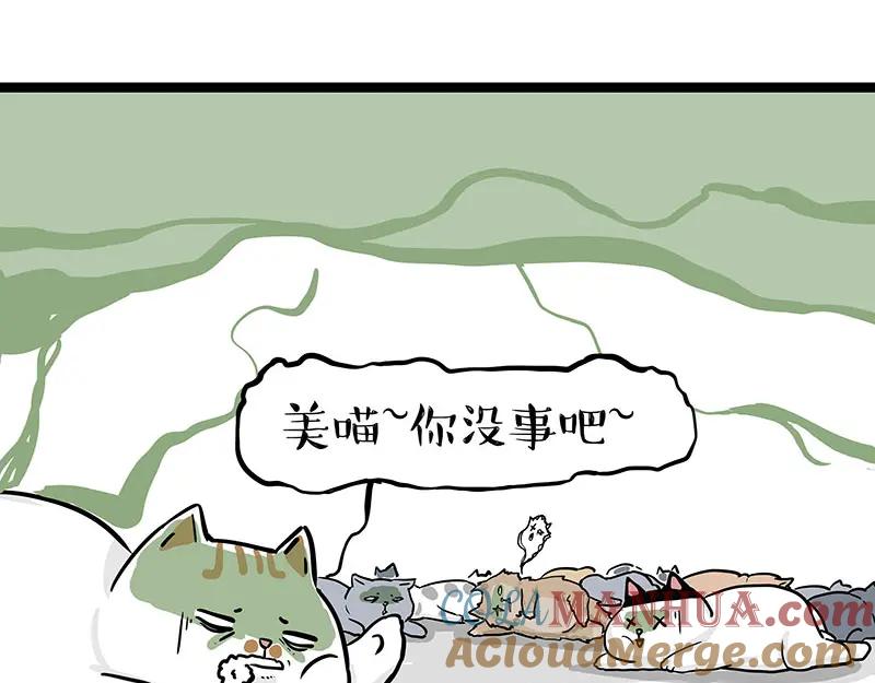 61.jpg