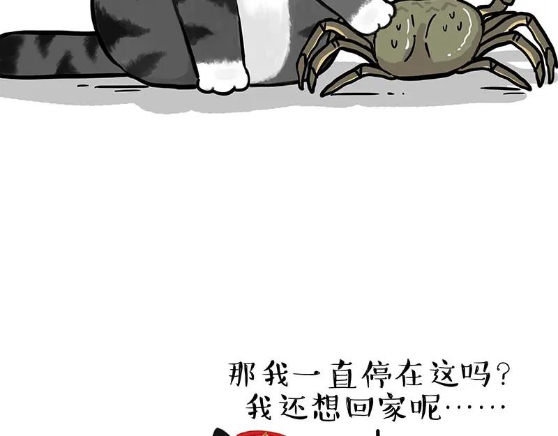 47.jpg