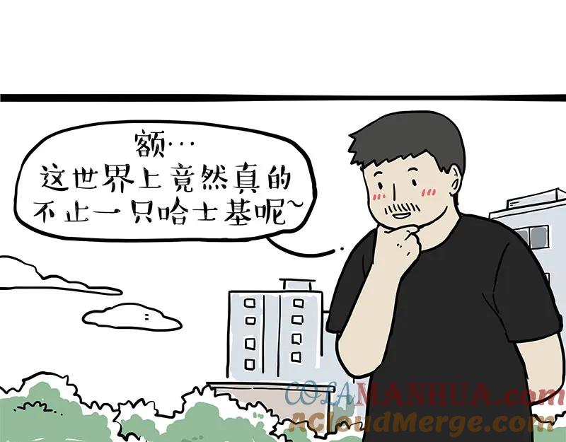 48.jpg