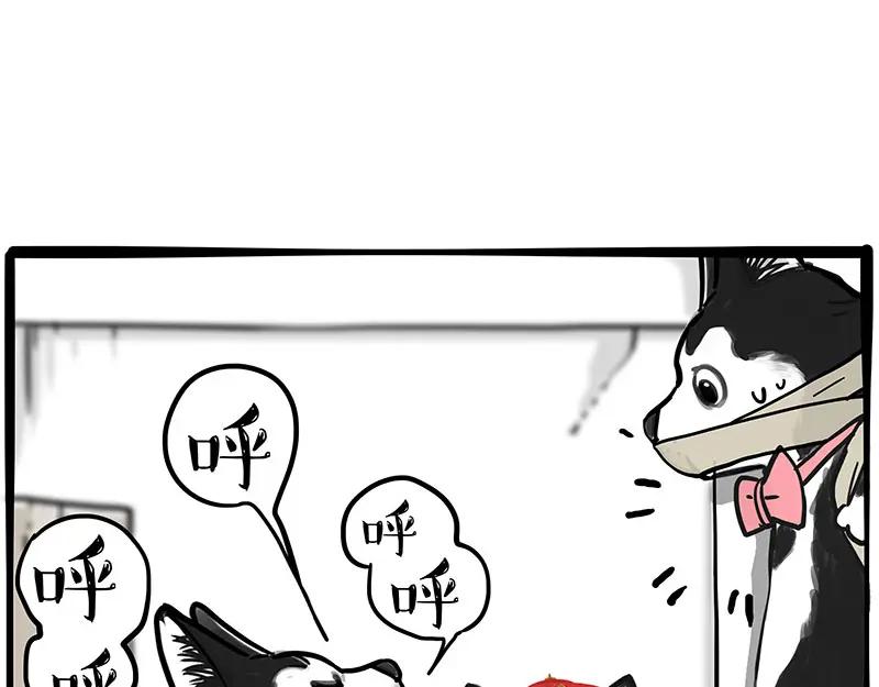 59.jpg