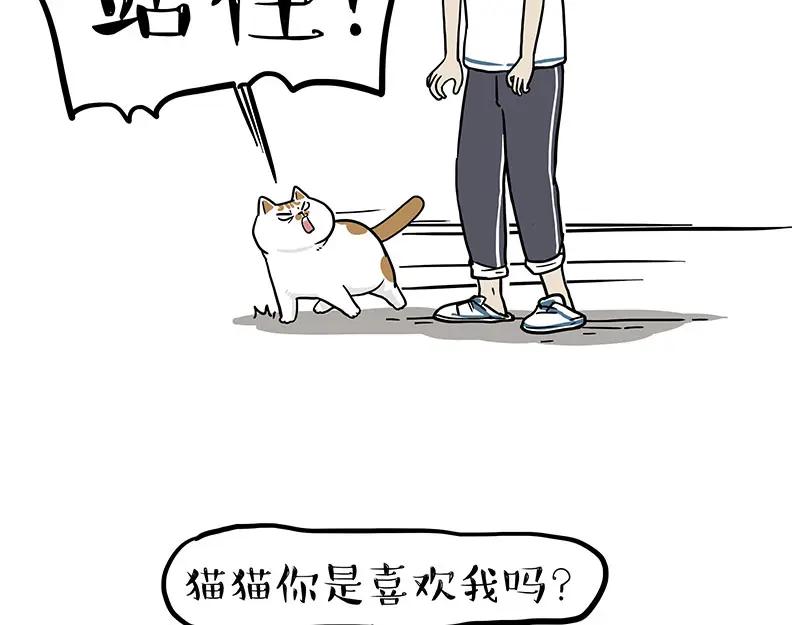 56.jpg