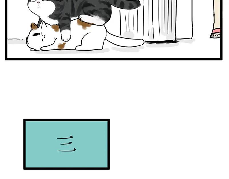 62.jpg