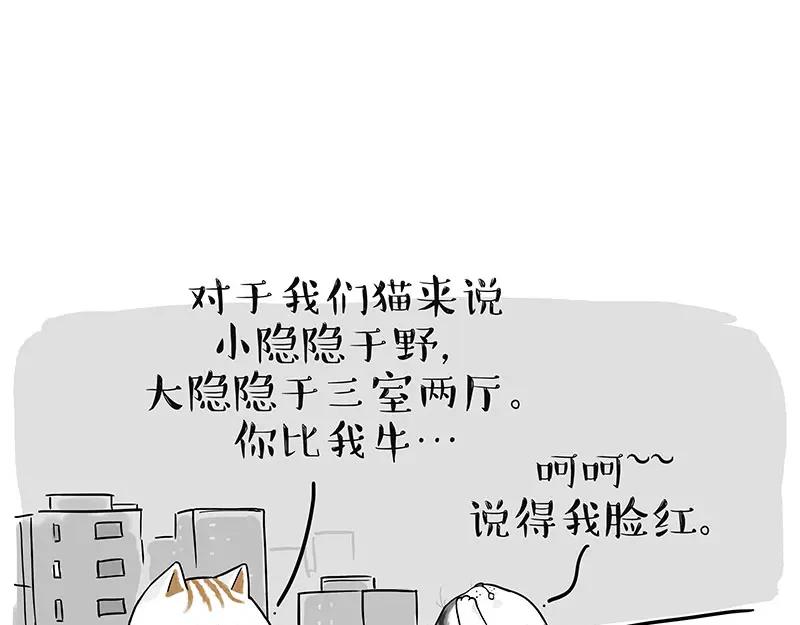 76.jpg