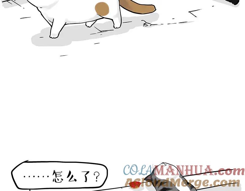97.jpg