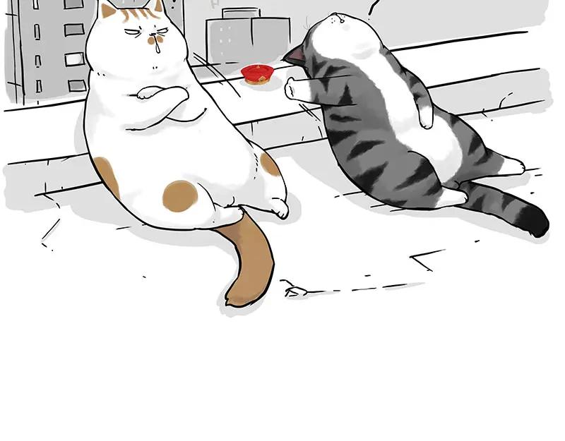 90.jpg