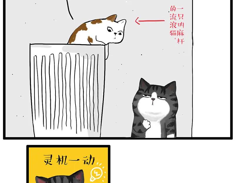 56.jpg
