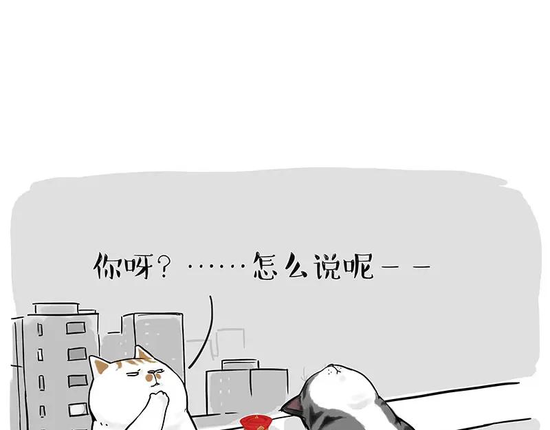 71.jpg