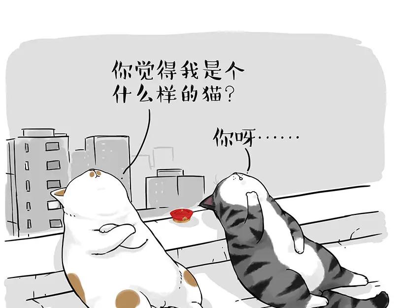 78.jpg