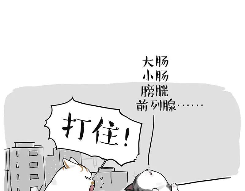 84.jpg