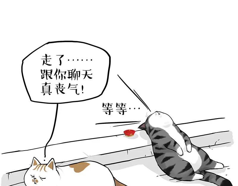 96.jpg